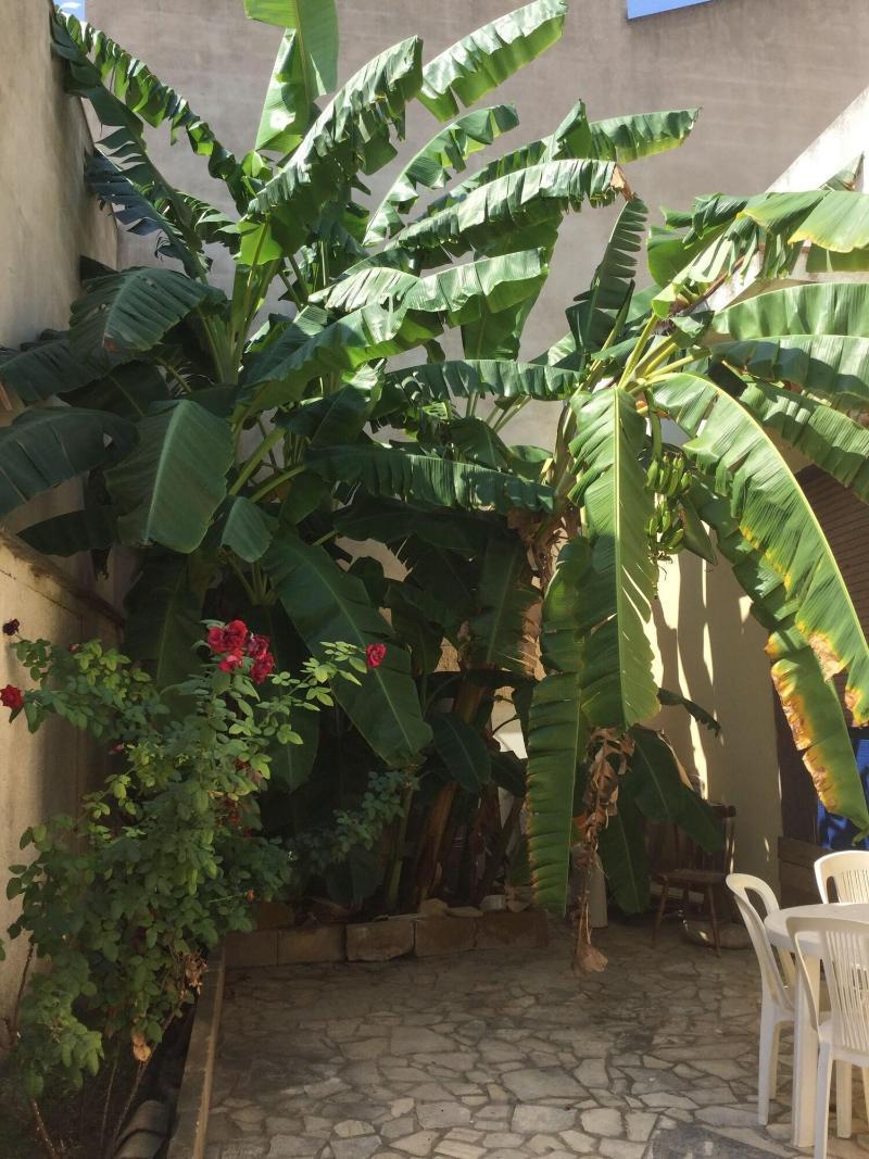 U' Iazzu Bed & Breakfast Avola Ngoại thất bức ảnh