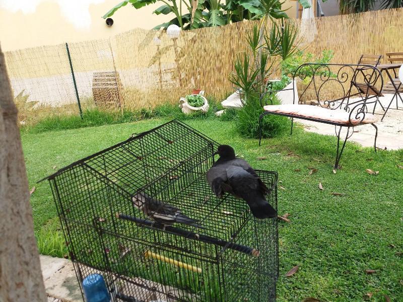 U' Iazzu Bed & Breakfast Avola Ngoại thất bức ảnh
